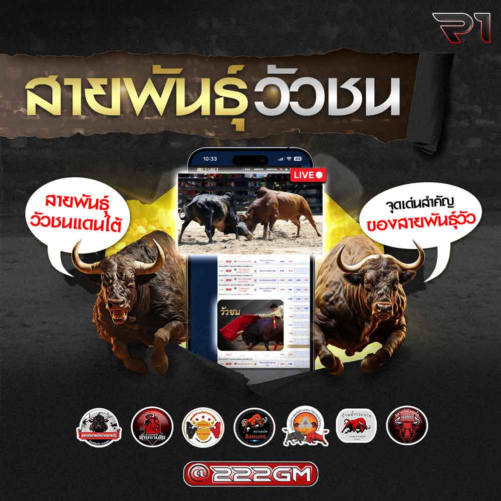 สายพันธุ์วัวชน